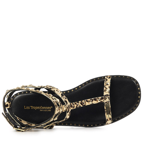 Les Tropéziennes by M.Belarbi Coralie