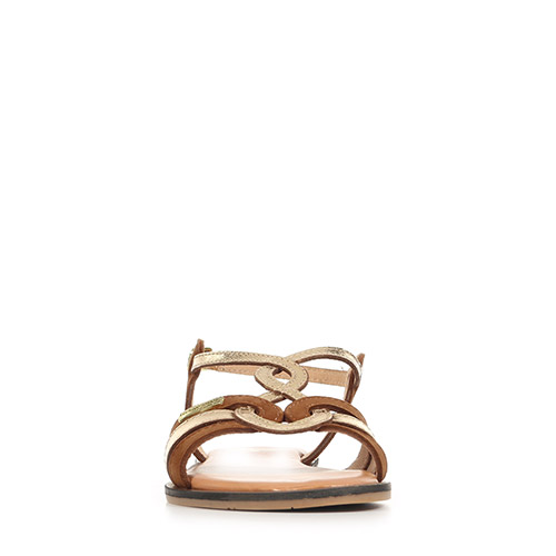 Les Tropéziennes by M Belarbi Habby