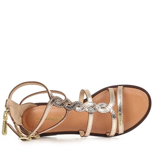 Les Tropéziennes by M.Belarbi Hastrid