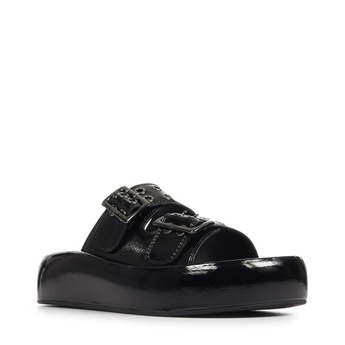 Buffalo Evelyn Ari Riv