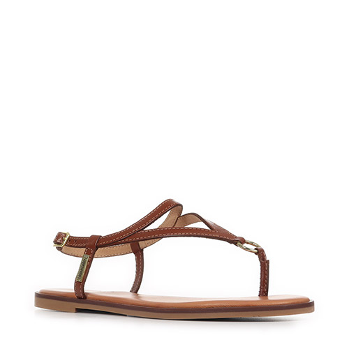 Les Tropéziennes by M.Belarbi Hatome