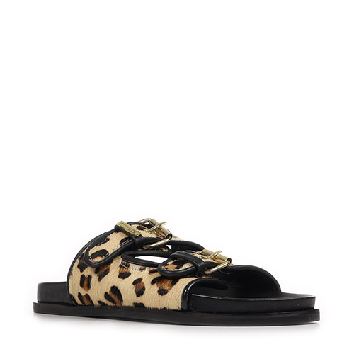 Les Tropéziennes by M.Belarbi Doxy