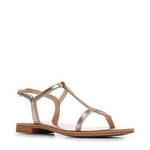 Les Tropéziennes by M.Belarbi Hamatri