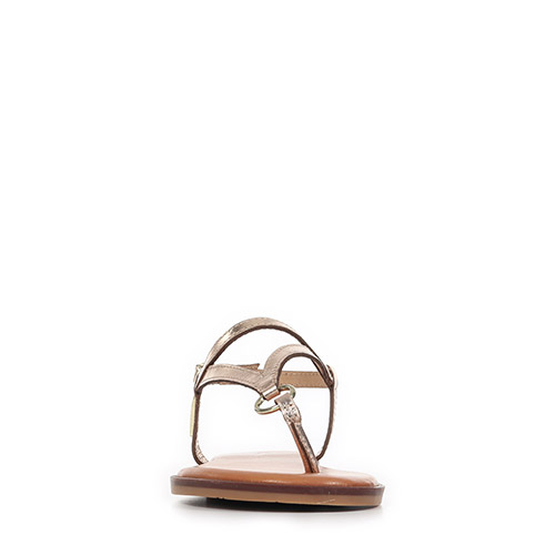 Les Tropéziennes by M.Belarbi Hatome