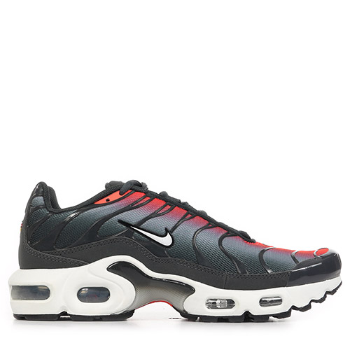 Air Max Plus