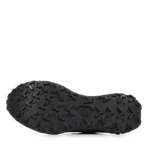Timberland Low Lace Sneaker