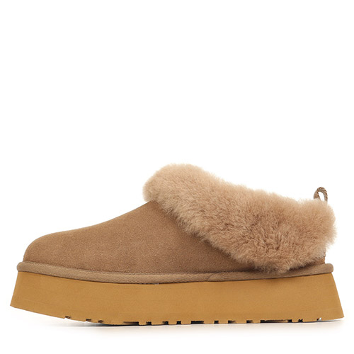 UGG Tazzelle