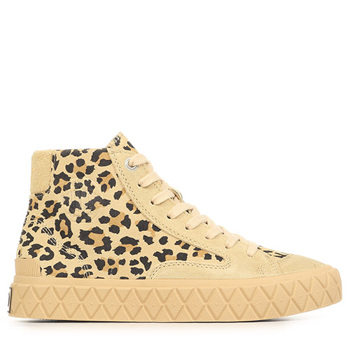 Palla Ace Chukka Sde