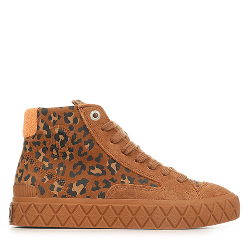 Palla Ace Chukka Sde