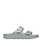 Metallic Silver