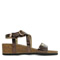 Camel Metal