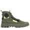 Olive Night