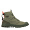 Dusky Green