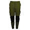 Forest Olive
