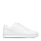 White Silver Black