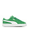 Archive Green White