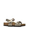 Graceful Taupe