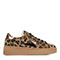 Leopard Camel