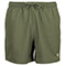 Laurel Wreath Green