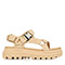 Beige Tan