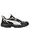 Black Light Gray Silver