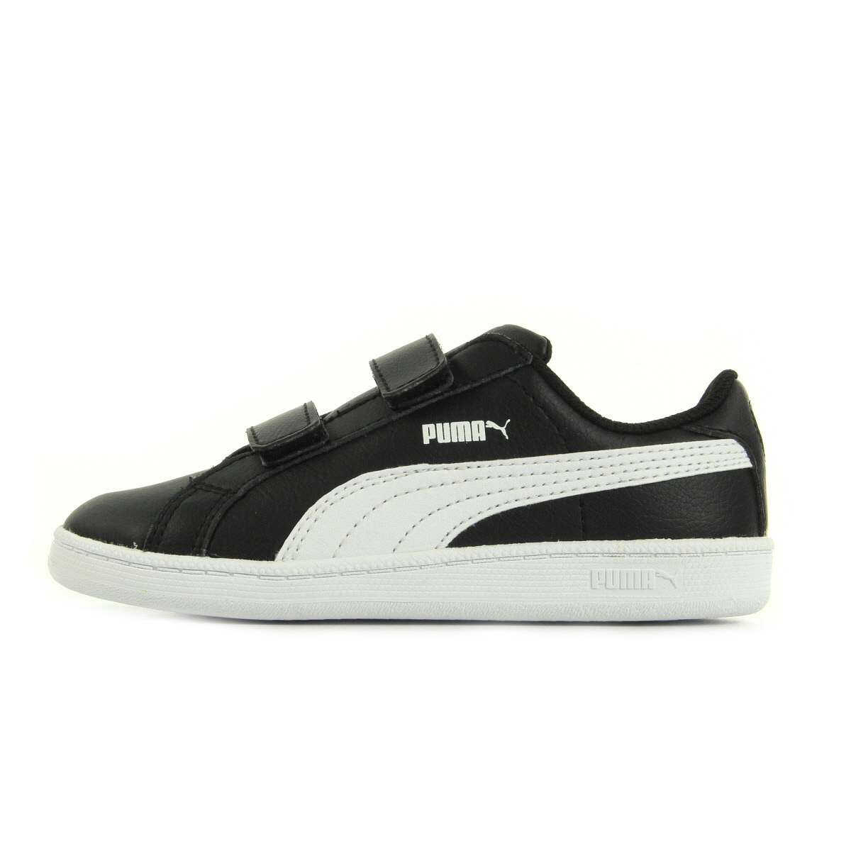 gazelle puma gazelle puma