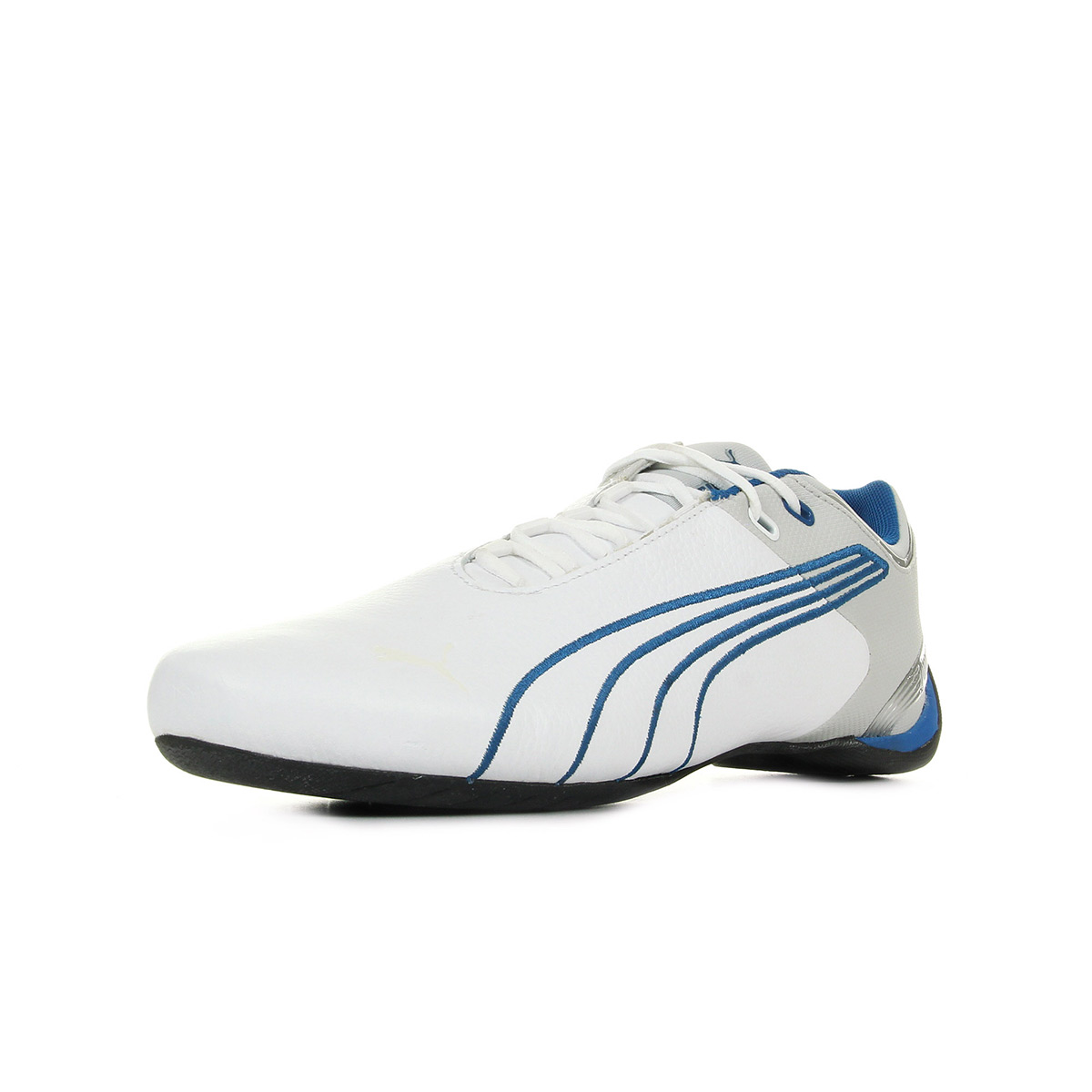 basket de ville puma animals information basket de ville puma animals information