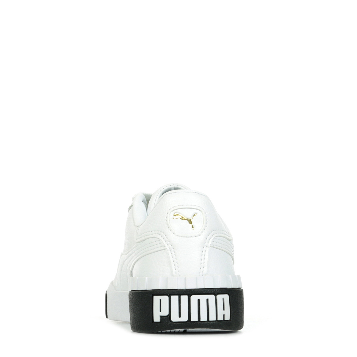 36915504 puma