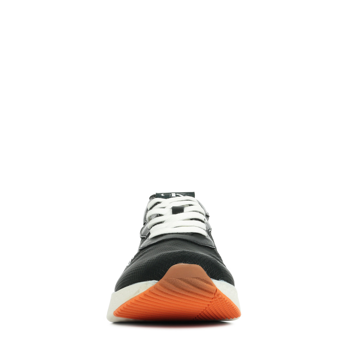 Calvin on sale klein alban