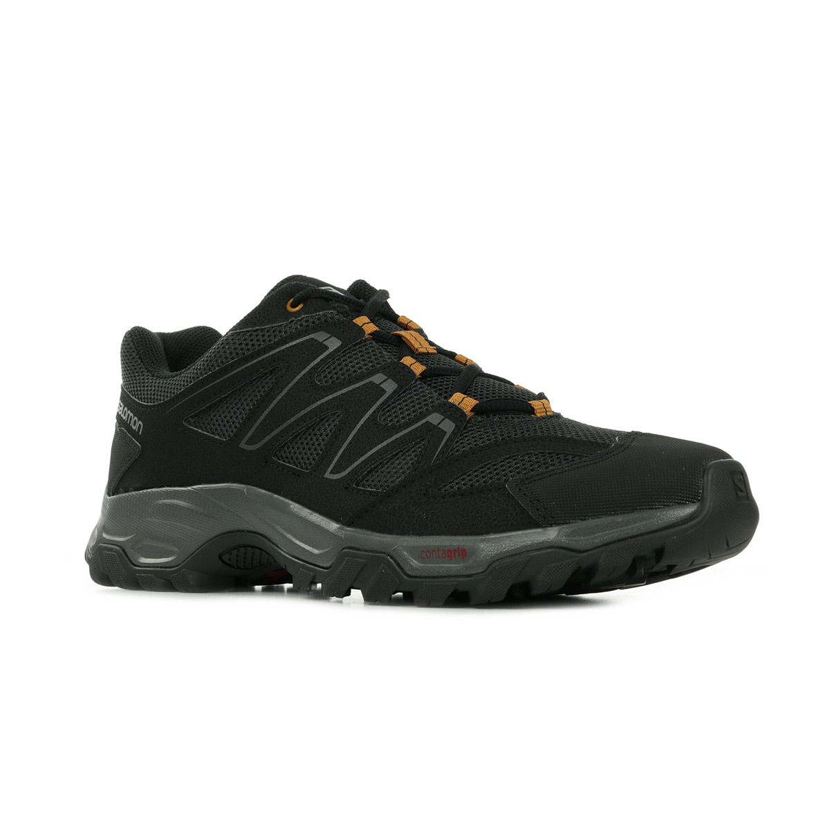 salomon halifax