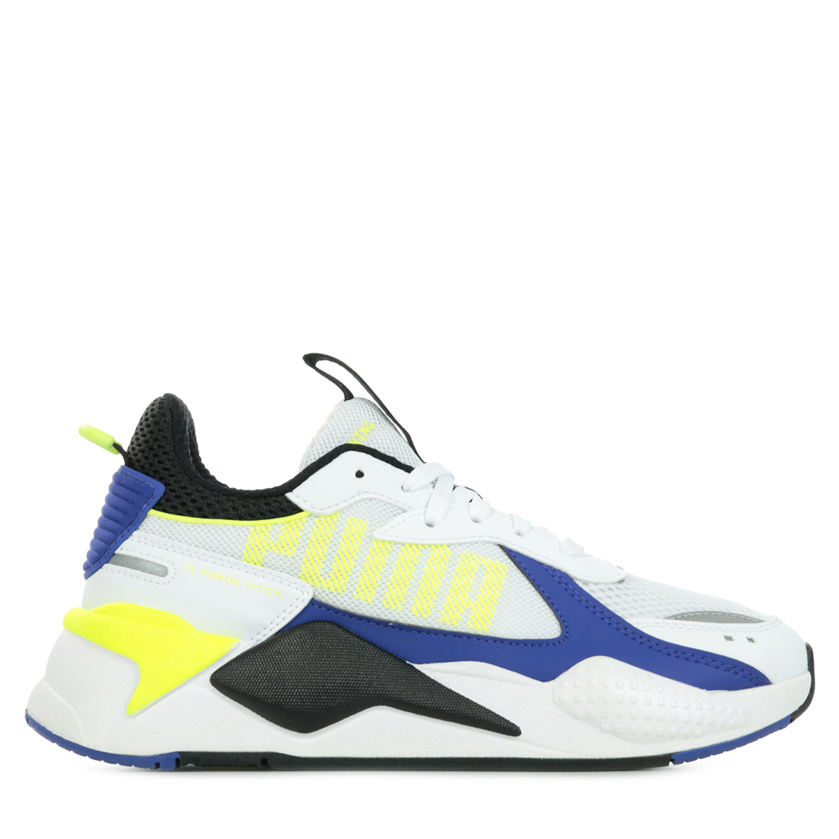 puma bold