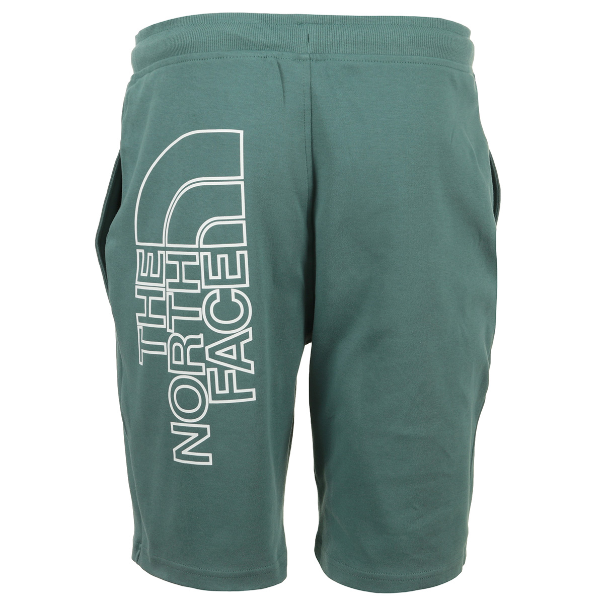 The North Face Graphic Short Light