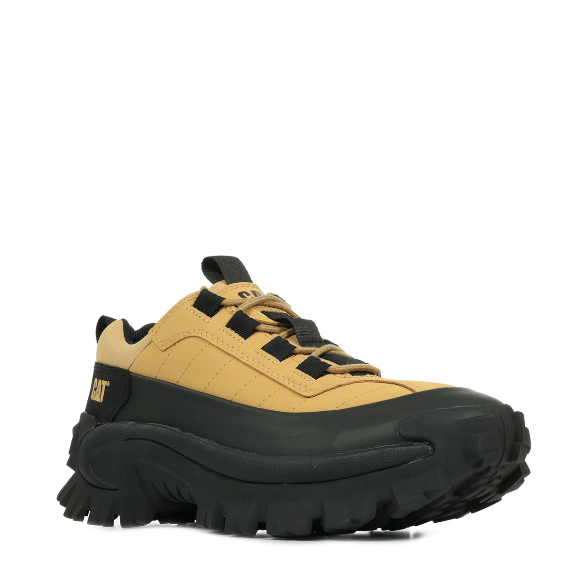 Chaussure deals cat intruder
